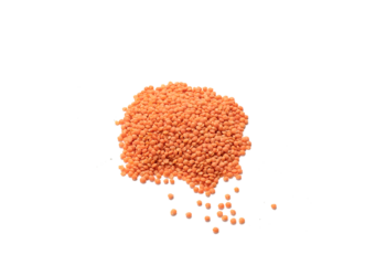 Lentilles corail 5kg